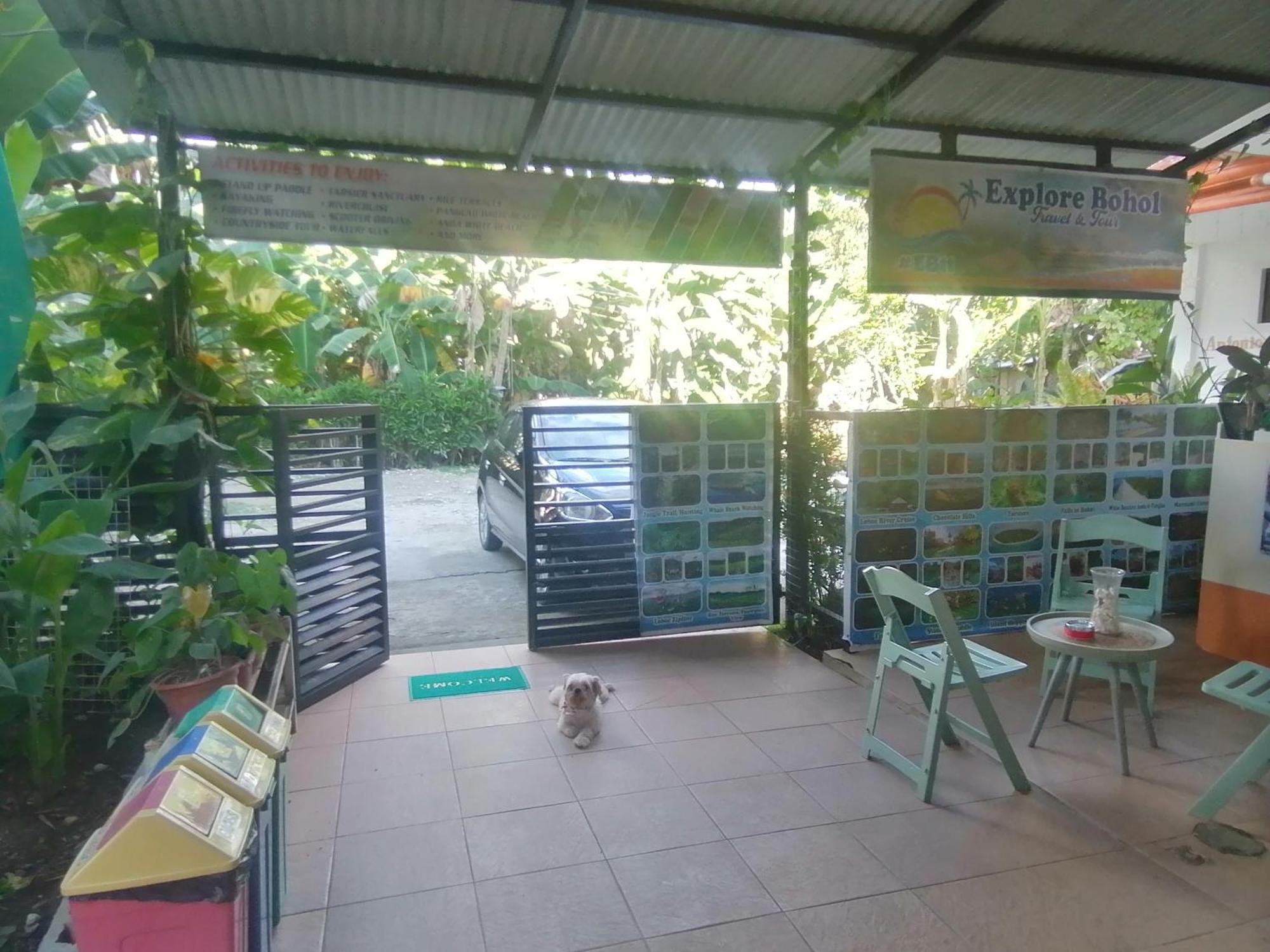 Andresas Homestay Loboc Szoba fotó
